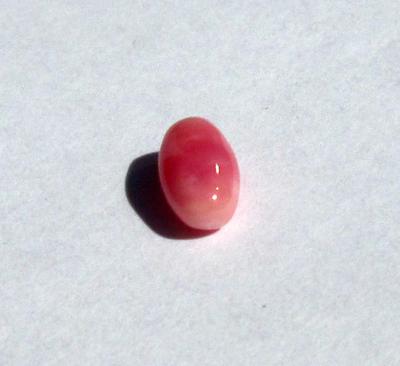 Conch Pearl Pink Oval Shape 7mm