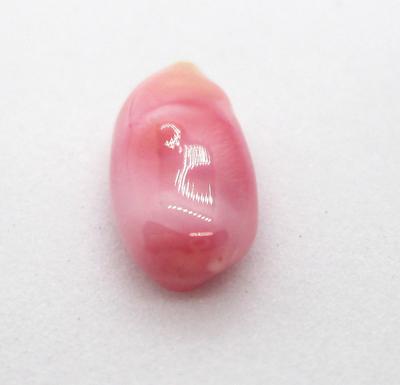 Conch Pearl Pink Variegated Oblong Shape 10mm
