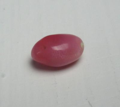 Conch Pearl Pink with Flame 1 carat