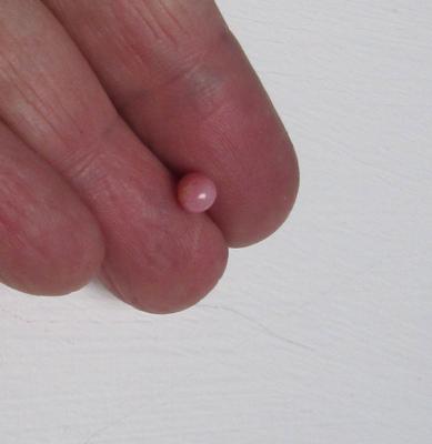 Conch Pearl Roundish 4mm Pink