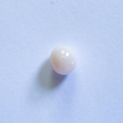Conch Pearl Small White Oval 5mm