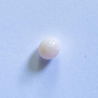 Conch Pearl Small White Oval 5mm