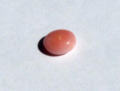Conch Pearl Soft Pink Oval 8mm