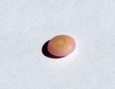 Conch Pearl Soft Pink Oval 8mm