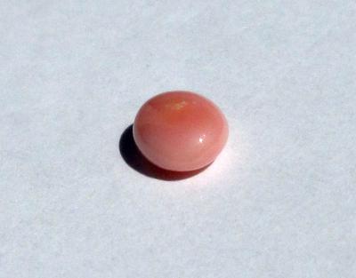 Conch Pearl Soft Pink Oval 8mm