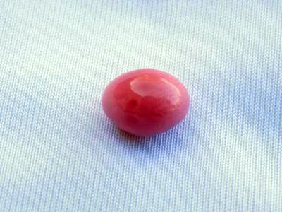 4.11 carat conch pearl 9.65mm