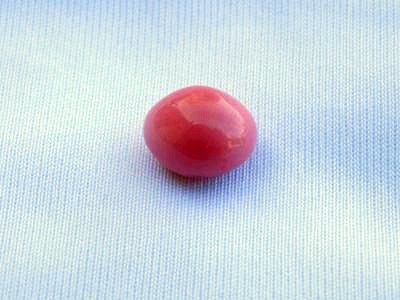 4.11 carat conch pearl 9.65mm