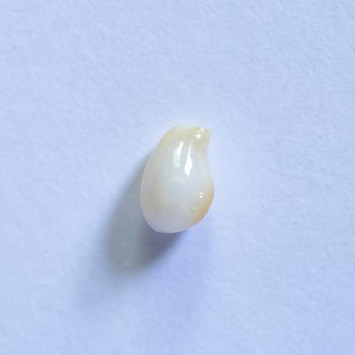 Conch Pearl White Drop 1+ carat 7mm 