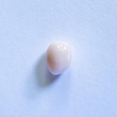 Conch Pearl White Oval 1+ carat 6mm