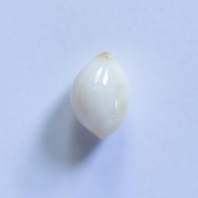 Conch Pearl White oval 2+ carat 9mm