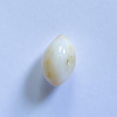 Conch Pearl White oval 2+ carat 9mm