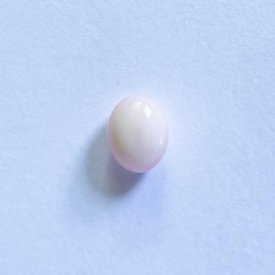 Conch Pearl White Oval 6mm