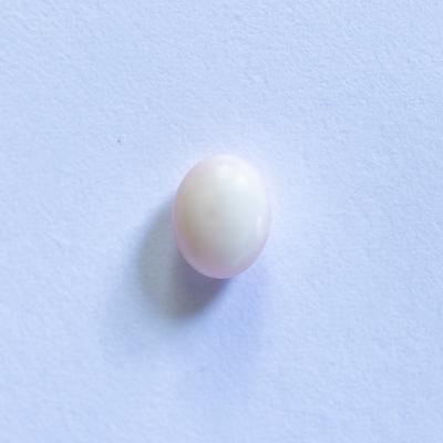 Conch Pearl White Oval 6mm