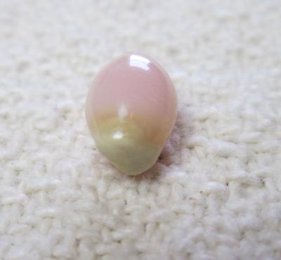 Conch Pearl with Flame Light Pink Oval 2+ carats