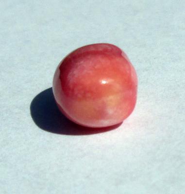 Conch Pearl with Strong Flame 11mm 7+ carats