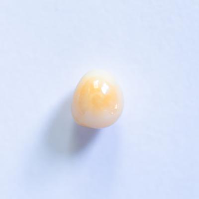 Conch Pearl Yellow Oval 1+ carat 6mm 