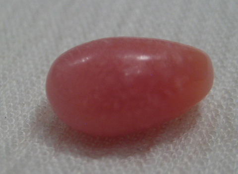 Conch Pearl Conch Pearl