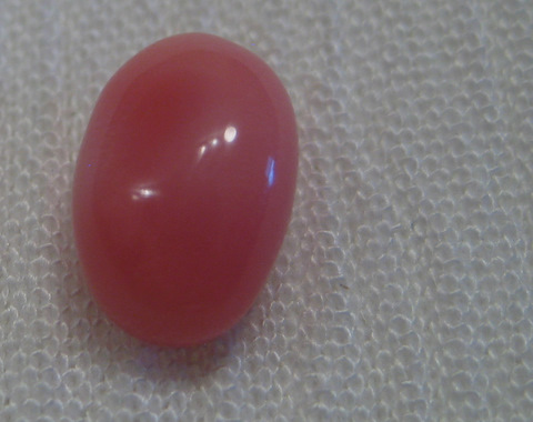 1.85 carat Conch Pearl 1.85 carat Conch Pearls