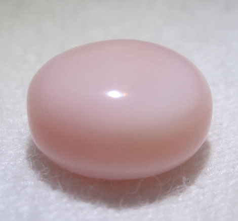 Conch pearl 3 carats