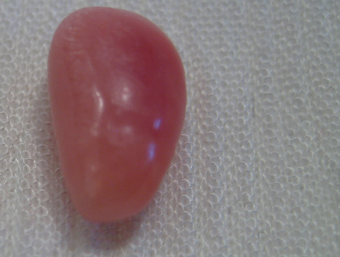 Conch Pearl with Fire Conch Pearl with Fire
