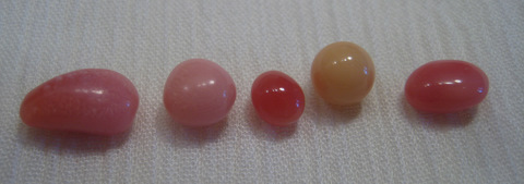 5 Conch Pearls 5 Conch Pearls
