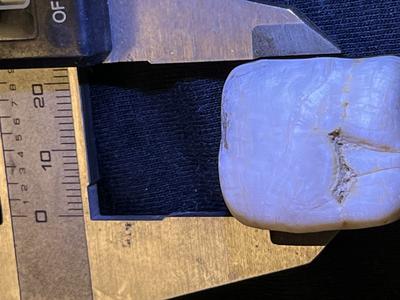 Could this Possibly be a Pearl?