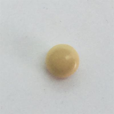 Cream Colored Quahog Pearl with Original Shell for Sale
