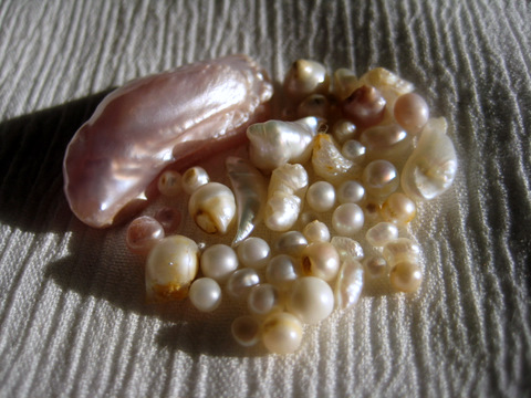 Crow River Pearls
