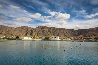 Nets used in oyster farming in the water around Al Rams village, where the Suwaidi Pearl Farm is located