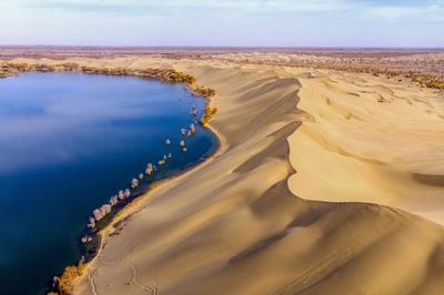 Chinese companies are using the saline lakes dotted across the Talkimakan Desert to harvest pearl oysters and other marine wildlife. Photo: Xinhua