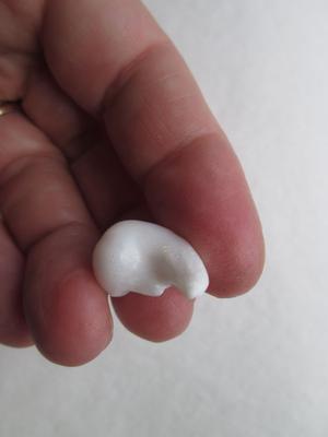 Curled Natural Clam Pearl for Sale 13+ carats