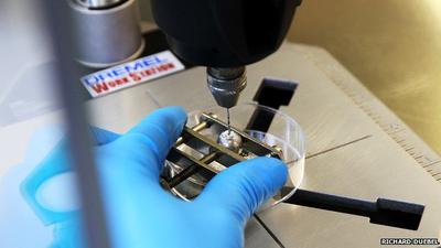 It is now possible to obtain DNA from pearls - providing more information about their origins.