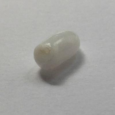 Cylinder Shaped Clam Pearl - 1.60 carat