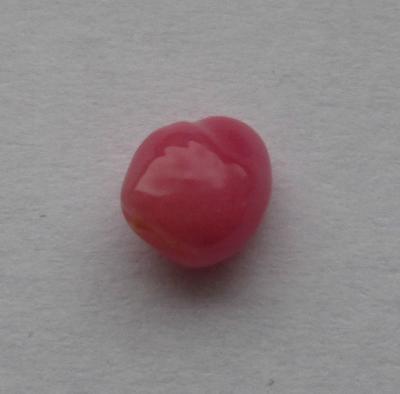 Dark Pink Conch Pearl 1.13 Carat