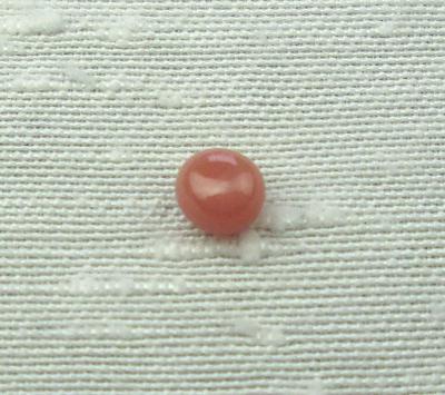 Dark Pink Conch Pearl 4mm Button Shape