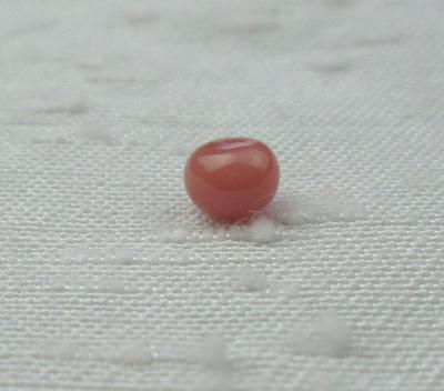 Dark Pink Conch Pearl 4mm Button Shape