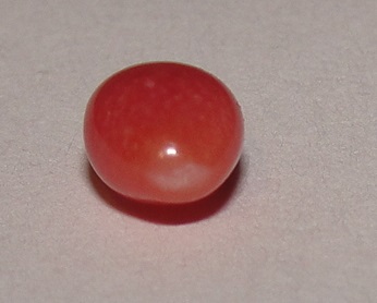 Dark Pink Conch Pearl 7 x 4mm