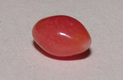 Dark Pink Conch Pearl 7 x 4mm