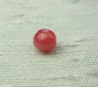 Dark Pink Conch Pearl Button Shape 5mm