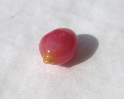 Dark Pink Conch Pearl Oval 1.05 carat