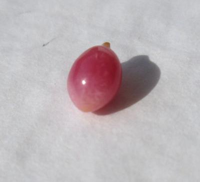 Dark Pink Conch Pearl Oval 1.05 carat