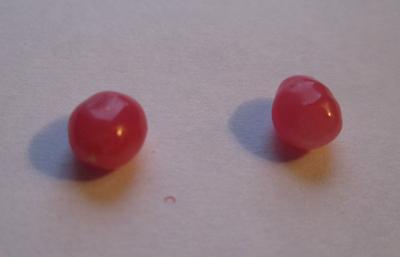 Dark Pink Conch Pearl Pair