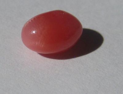 0.88 carat Dark Pink Conch Pearl with Flame