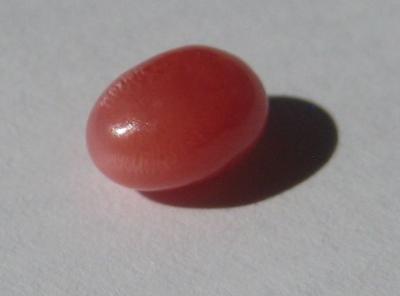 0.88 carat Dark Pink Conch Pearl with Flame