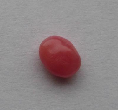 Dark Pink Conch Pearl with Flame