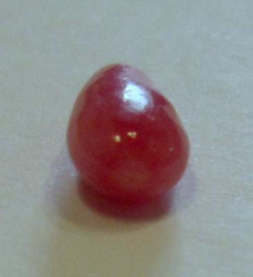 Drop conch pearl - 1.31 carats