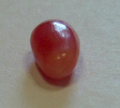 Drop conch pearl - 1.31 carats