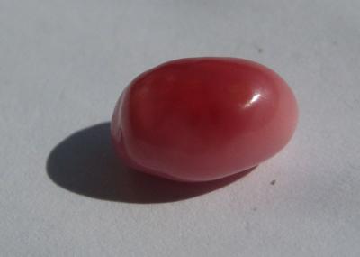 Dark Pink Conch Pearl