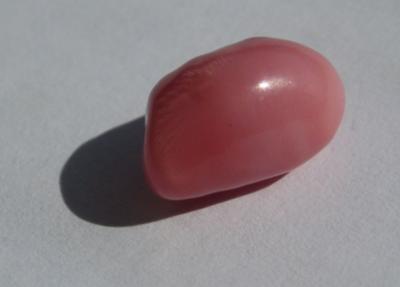 3.60 carats Dark Pink Conch Pearl