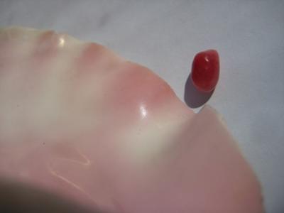 3.60 carats Dark Pink Conch Pearl